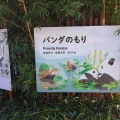 実際訪問したユーザーが直接撮影して投稿した上野公園動物園上野動物園 パンダのもりの写真