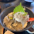 生しらす丼 - 実際訪問したユーザーが直接撮影して投稿した江の島丼もの江之島亭の写真のメニュー情報