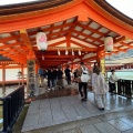 実際訪問したユーザーが直接撮影して投稿した宮島町神社嚴島神社 参拝入口の写真