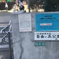 実際訪問したユーザーが直接撮影して投稿した自由が丘公園自由が丘公園の写真