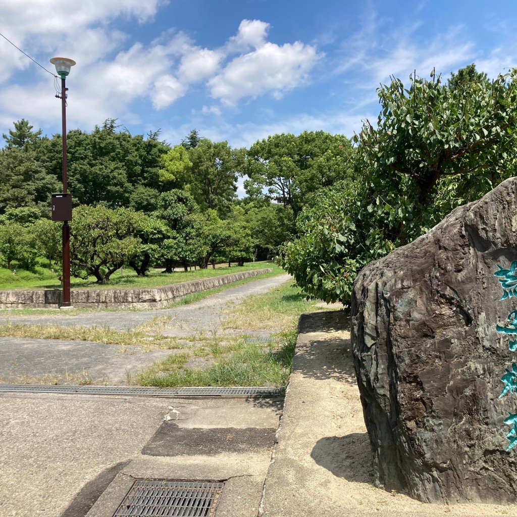 実際訪問したユーザーが直接撮影して投稿した荒子公園荒子公園の写真