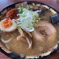 実際訪問したユーザーが直接撮影して投稿した日ノ浜町ラーメン / つけ麺麺お食事処 菜の花の写真