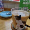 紅茶 - 実際訪問したユーザーが直接撮影して投稿した藤ケ谷テーマカフェ猫に逢えるカフェ〜ねこのひたい〜の写真のメニュー情報
