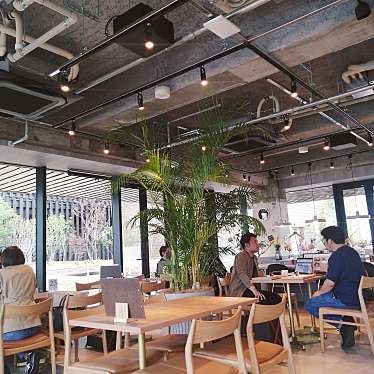 Aiko3catsさんが投稿した西新カフェのお店CAFEE OTTO. ROOF TOP GARDEN/カフェオットー ルーフトッフガーテンの写真