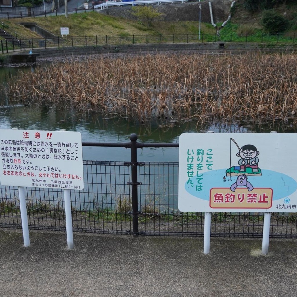 実際訪問したユーザーが直接撮影して投稿した東折尾町地域名所折尾の蓮の池の写真