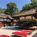 実際訪問したユーザーが直接撮影して投稿した下鴨泉川町神社河合神社の写真