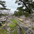 実際訪問したユーザーが直接撮影して投稿した宮西町公園夙川河川敷緑地の写真