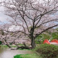 実際訪問したユーザーが直接撮影して投稿した金沢町寺金沢山 称名寺の写真