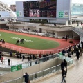 実際訪問したユーザーが直接撮影して投稿した駒の町競馬場阪神競馬場の写真