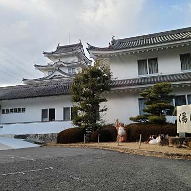 実際訪問したユーザーが直接撮影して投稿した青木温泉旅館湯浅温泉 湯浅城の写真