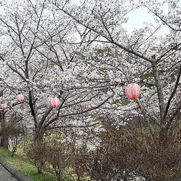 実際訪問したユーザーが直接撮影して投稿した金光町占見新田公園丸山公園の写真