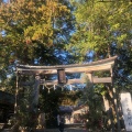 実際訪問したユーザーが直接撮影して投稿した一宮しなね神社土佐神社の写真