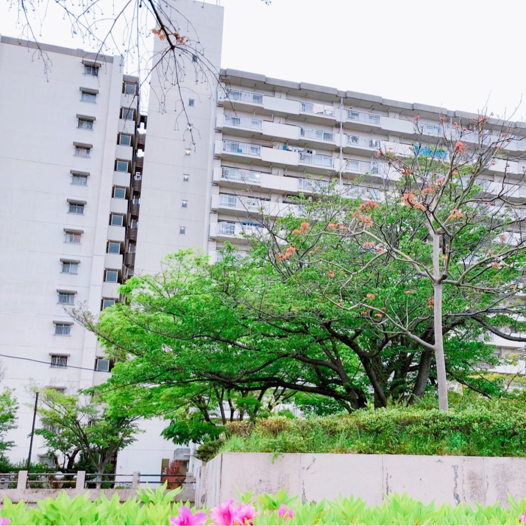 実際訪問したユーザーが直接撮影して投稿した南葛西公園南葛西5公園の写真