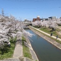 実際訪問したユーザーが直接撮影して投稿した康生町公園岡崎公園の写真