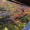 実際訪問したユーザーが直接撮影して投稿した上高野東山寺瑠璃光院の写真