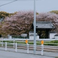 実際訪問したユーザーが直接撮影して投稿した桝塚東町寺行福寺の写真