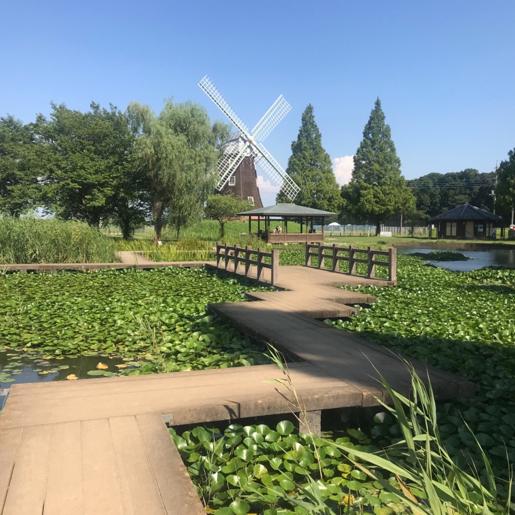 経巡鯉画龍さんが投稿した布施公園のお店あけぼの山農業公園/アケボノヤマノウギョウコウエンの写真