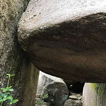 ミルクティーとキャラメル珈琲さんが投稿した宮島町山 / 峠のお店弥山/ミセンの写真