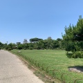 実際訪問したユーザーが直接撮影して投稿した明石公園公園明石公園の写真