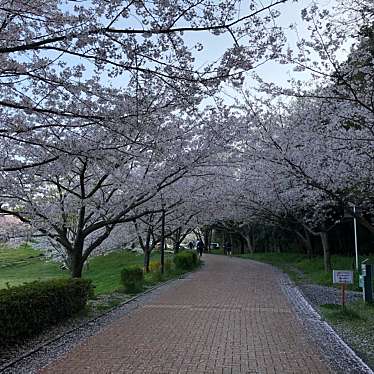 福岡県営中央公園のundefinedに実際訪問訪問したユーザーunknownさんが新しく投稿した新着口コミの写真