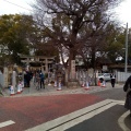 実際訪問したユーザーが直接撮影して投稿した北新町神社布忍神社の写真