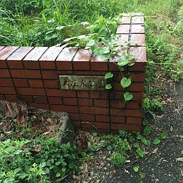 実際訪問したユーザーが直接撮影して投稿した蓬川町公園大庄東公園の写真