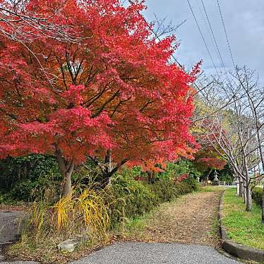 実際訪問したユーザーが直接撮影して投稿した日夏町神社唐崎神社の写真