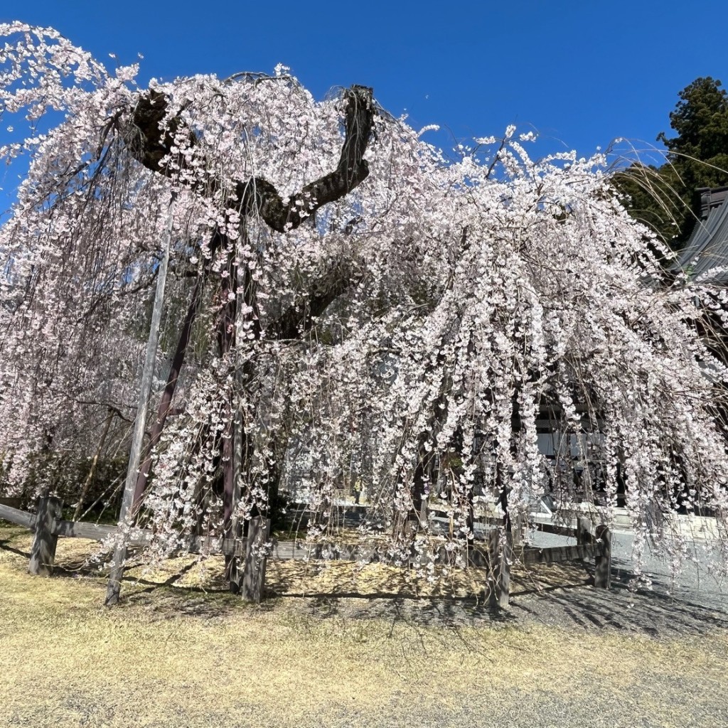 実際訪問したユーザーが直接撮影して投稿した身延寺日蓮宗総本山 身延山久遠寺の写真