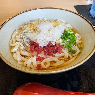 焼鳥・釜飯・うどん かまどか 馬車道店のundefinedに実際訪問訪問したユーザーunknownさんが新しく投稿した新着口コミの写真