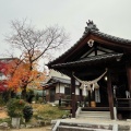 実際訪問したユーザーが直接撮影して投稿した祇園神社尾首日吉神社の写真