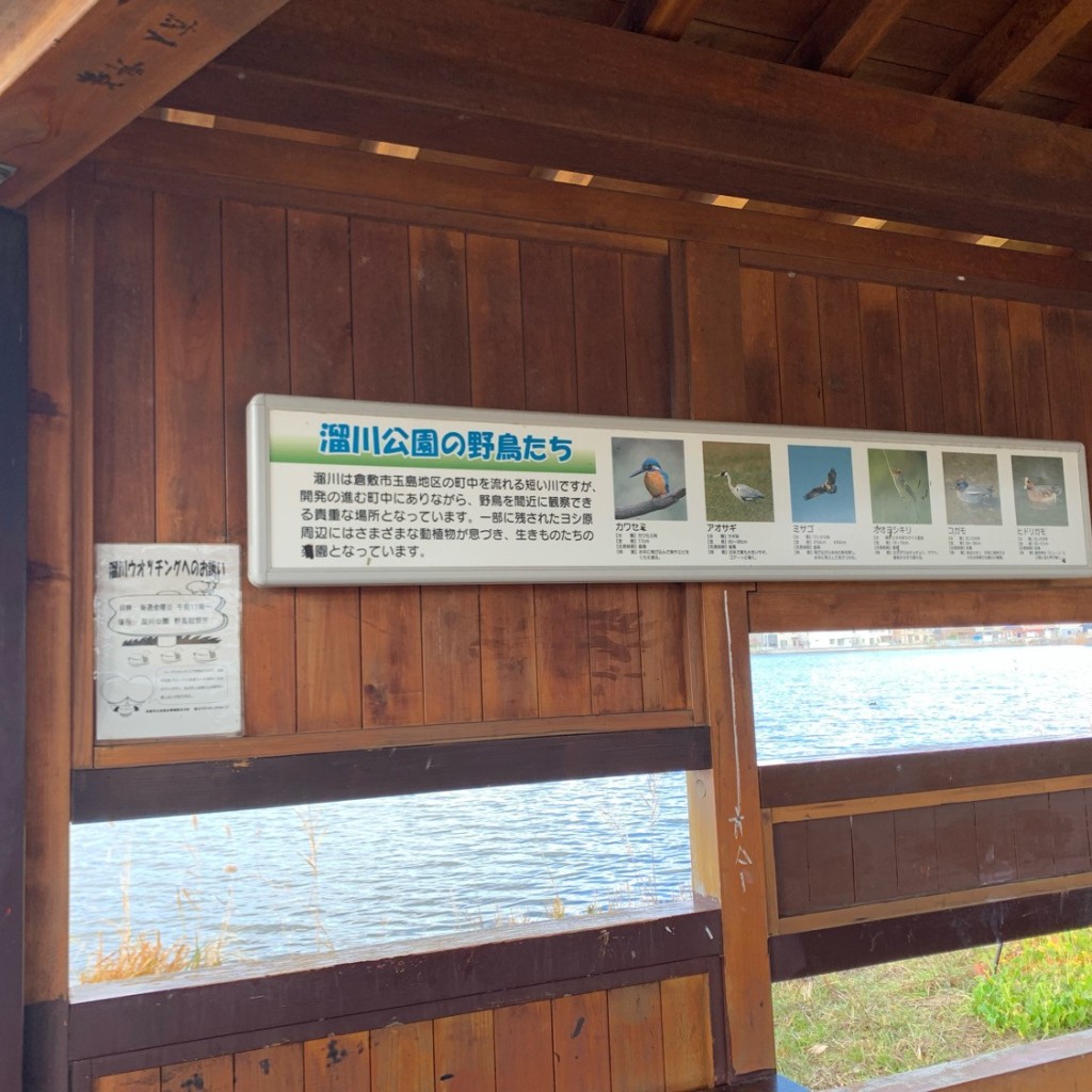 実際訪問したユーザーが直接撮影して投稿した玉島地域名所溜川野鳥観察所の写真