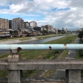 実際訪問したユーザーが直接撮影して投稿した柏屋町河川鴨川の写真