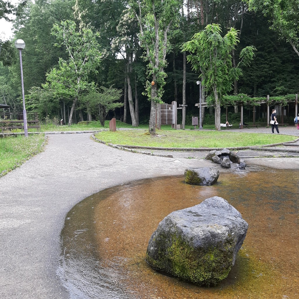 mayu-mさんが投稿した忍草公園のお店さかな公園/サカナコウエンの写真