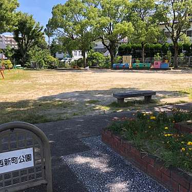 実際訪問したユーザーが直接撮影して投稿した西新町公園西新町公園の写真