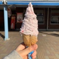 実際訪問したユーザーが直接撮影して投稿した茂木道の駅道の駅もてぎの写真