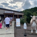 実際訪問したユーザーが直接撮影して投稿した人穴スイーツCOW RESORT IDEBOK in 人穴の写真