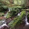 実際訪問したユーザーが直接撮影して投稿した天徳寺滝 / 渓谷瓜割の滝の写真