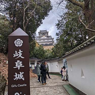 実際訪問したユーザーが直接撮影して投稿した城 / 城跡岐阜城の写真