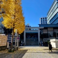 実際訪問したユーザーが直接撮影して投稿した芝大門神社芝大神宮の写真