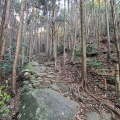 実際訪問したユーザーが直接撮影して投稿した木本町山 / 峠松本峠の写真