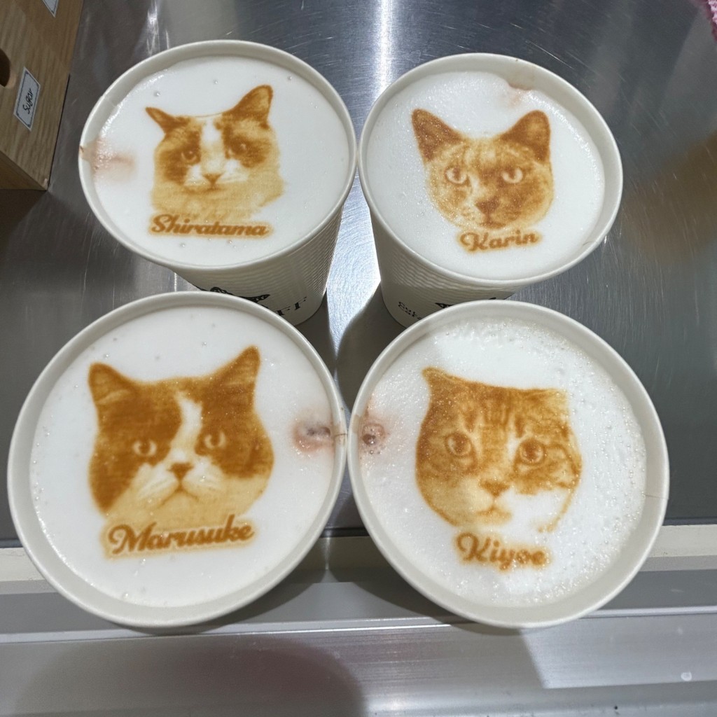 ユーザーが投稿したココアの写真 - 実際訪問したユーザーが直接撮影して投稿した寿町カフェ猫カフェ Moff animal cafe アリオ倉敷店の写真