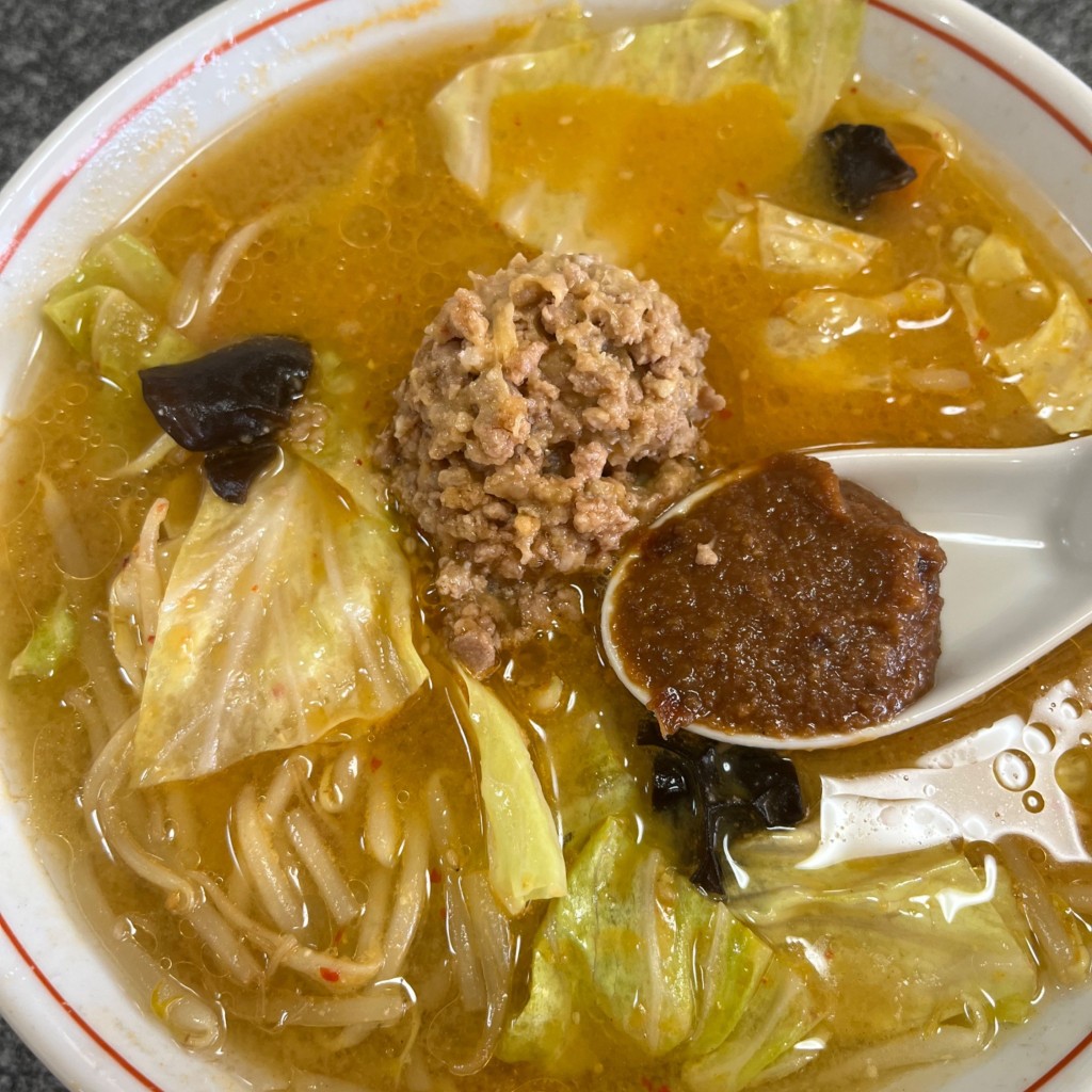 ユーザーが投稿した味噌ラーメンの写真 - 実際訪問したユーザーが直接撮影して投稿した柳生ラーメン / つけ麺松月の写真