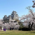 実際訪問したユーザーが直接撮影して投稿した本町公園姫路公園の写真