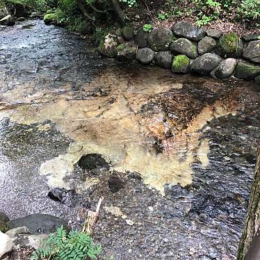 実際訪問したユーザーが直接撮影して投稿した瀬尾オートキャンプ場日光まなかの森 キャンプ&スパリゾートの写真