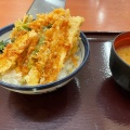 桜海老天丼 - 実際訪問したユーザーが直接撮影して投稿した東町天丼天丼てんや 八王子北口店の写真のメニュー情報