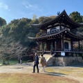 実際訪問したユーザーが直接撮影して投稿した勧修寺仁王堂町寺勧修寺の写真