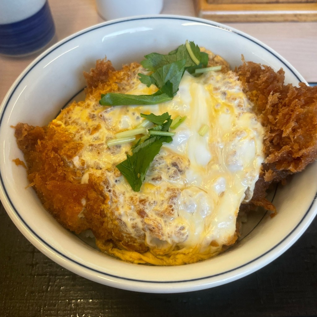 ユーザーが投稿したカツ丼(竹)の写真 - 実際訪問したユーザーが直接撮影して投稿した南十九条西とんかつかつや 札幌石山通店の写真