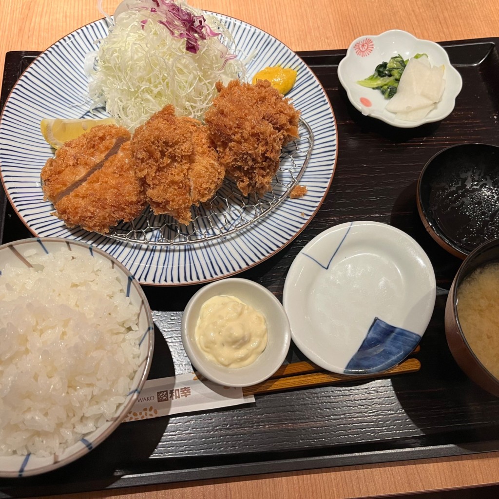 ユーザーが投稿したヒレカキ盛合御飯の写真 - 実際訪問したユーザーが直接撮影して投稿した高島とんかつとんかつ和幸 ポルタ横浜店の写真