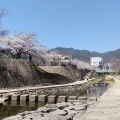 実際訪問したユーザーが直接撮影して投稿した篠原南町公園都賀川公園の写真