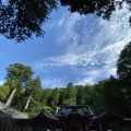 実際訪問したユーザーが直接撮影して投稿した元箱根神社箱根神社の写真